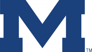 Mississippi Rebels 1996-Pres Alternate Logo 03 Iron On Transfer