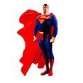 Superman Logo 03 Iron On Transfer