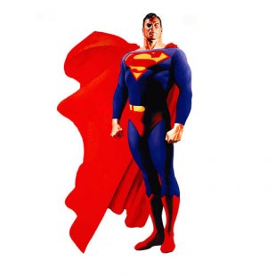 Superman Logo 03 Print Decal