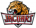IUPUI Jaguars 2008-Pres Primary Logo Iron On Transfer