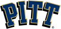 Pittsburgh Panthers 2005-2015 Primary Logo Print Decal