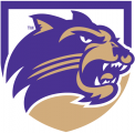 Western Carolina Catamounts 1996-2007 Alternate Logo 10 Iron On Transfer