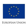 European Union flag logo Iron On Transfer