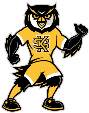 Kennesaw State Owls 2012-Pres Mascot Logo 02 Print Decal