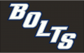 Tampa Bay Lightning 2014 15-2016 17 Jersey Logo Print Decal