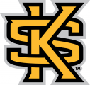 Kennesaw State Owls 2012-Pres Secondary Logo Print Decal