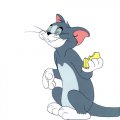 Tom and Jerry Logo 09 Print Decal