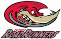 Topeka Roadrunners 2007 08-Pres Primary Logo Print Decal