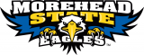 Morehead State Eagles 2005-Pres Primary Logo Iron On Transfer