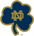 Notre Dame Fighting Irish 1994-Pres Alternate Logo 15 Print Decal