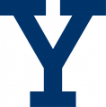 Yale Bulldogs 2000-Pres Alternate Logo Iron On Transfer