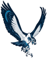 Seattle Seahawks 2002-2011 Alternate Logo Print Decal