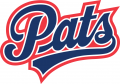 Regina Pats 2014 15-Pres Primary Logo Print Decal