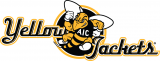 AIC Yellow Jackets 2009-Pres Alternate Logo 03 Iron On Transfer