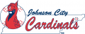 Johnson City Cardinals 1975-1994 Primary Logo Print Decal