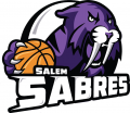 Salem Sabres 2013-Pres Primary Logo Print Decal