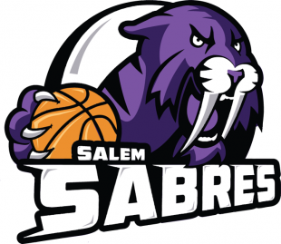 Salem Sabres 2013-Pres Primary Logo Iron On Transfer