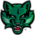 Binghamton Bearcats 2001-Pres Secondary Logo 03 Iron On Transfer