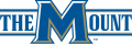 Mount St. Marys Mountaineers 2004-Pres Alternate Logo 03 Print Decal