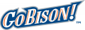 Bucknell Bison 2002-Pres Wordmark Logo 02 Print Decal