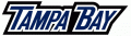 Tampa Bay Lightning 2007 08-2009 10 Wordmark Logo 02 Print Decal