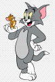 Tom and Jerry Logo 10 Print Decal