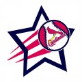 St. Louis Cardinals Baseball Goal Star logo Print Decal