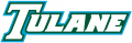 Tulane Green Wave 1998-2013 Wordmark Logo 02 Print Decal
