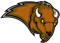 Lipscomb Bisons 2002-2011 Secondary Logo Print Decal