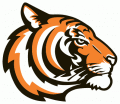 Princeton Tigers 2003-Pres Alternate Logo Print Decal