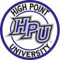 High Point Panthers 2004-Pres Alternate Logo 01 Print Decal