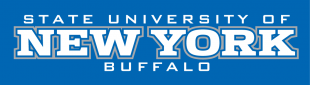 Buffalo Bulls 2007-2015 Wordmark Logo 02 Iron On Transfer