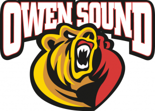 Owen Sound Attack 2011 12-Pres Primary Logo Print Decal