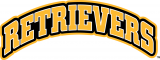 UMBC Retrievers 2010-Pres Wordmark Logo 06 Iron On Transfer