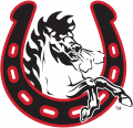 Calgary Stampeders 2003-Pres Alternate Logo Iron On Transfer