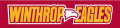 Winthrop Eagles 1995-Pres Wordmark Logo 05 Iron On Transfer