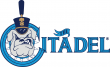 The Citadel Bulldogs