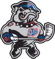 Regina Pats 2002 03-Pres Alternate Logo Iron On Transfer