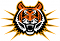 Idaho State Bengals 1997-2018 Alternate Logo 06 Print Decal