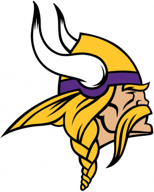 Minnesota Vikings 2013-Pres Primary Logo Iron On Transfer