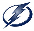 Tampa Bay Lightning Plastic Effect Logo Print Decal