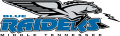 Middle Tennessee Blue Raiders 1998-2006 Primary Logo Print Decal