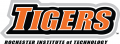 RIT Tigers 2004-Pres Wordmark Logo Print Decal