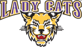 Western Carolina Catamounts 1996-2007 Alternate Logo 04 Iron On Transfer