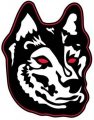 Northeastern Huskies 2007-Pres Alternate Logo 02 Print Decal
