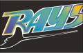 Tampa Bay Rays 1999 Special Event Logo Iron On Transfer