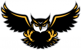 Kennesaw State Owls 2012-Pres Alternate Logo 01 Print Decal