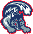 Stony Brook Seawolves 1998-2007 Alternate Logo Iron On Transfer