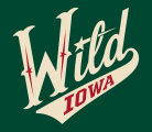 Iowa Wild 2013-Pres Alternate Logo 2 Print Decal