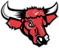 Nebraska-Omaha Mavericks 1997-2003 Secondary Logo Print Decal